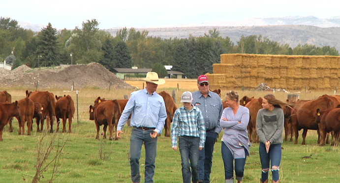 Plant-based burgers taking a bite out on Montana's beef industry
